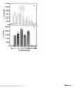 Fig. 18 - Modulation of immunostimulatory properties of oligonucleotide-based compounds by utilizing modified immunostimulatory dinucleotides
