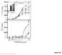 Fig. 21 - Modulation of immunostimulatory properties of oligonucleotide-based compounds by utilizing modified immunostimulatory dinucleotides