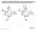 Fig. 25 - Modulation of immunostimulatory properties of oligonucleotide-based compounds by utilizing modified immunostimulatory dinucleotides