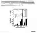 Fig. 27 - Modulation of immunostimulatory properties of oligonucleotide-based compounds by utilizing modified immunostimulatory dinucleotides