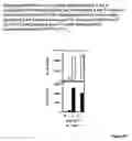 Fig. 29 - Modulation of immunostimulatory properties of oligonucleotide-based compounds by utilizing modified immunostimulatory dinucleotides