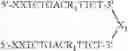 Fig. 33 - Modulation of immunostimulatory properties of oligonucleotide-based compounds by utilizing modified immunostimulatory dinucleotides