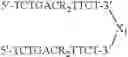 Fig. 34 - Modulation of immunostimulatory properties of oligonucleotide-based compounds by utilizing modified immunostimulatory dinucleotides
