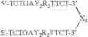 Fig. 35 - Modulation of immunostimulatory properties of oligonucleotide-based compounds by utilizing modified immunostimulatory dinucleotides
