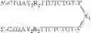 Fig. 38 - Modulation of immunostimulatory properties of oligonucleotide-based compounds by utilizing modified immunostimulatory dinucleotides