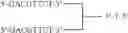 Fig. 47 - Modulation of immunostimulatory properties of oligonucleotide-based compounds by utilizing modified immunostimulatory dinucleotides
