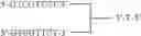 Fig. 52 - Modulation of immunostimulatory properties of oligonucleotide-based compounds by utilizing modified immunostimulatory dinucleotides