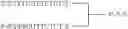 Fig. 58 - Modulation of immunostimulatory properties of oligonucleotide-based compounds by utilizing modified immunostimulatory dinucleotides