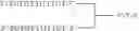 Fig. 67 - Modulation of immunostimulatory properties of oligonucleotide-based compounds by utilizing modified immunostimulatory dinucleotides