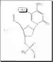 Fig. 71 - Modulation of immunostimulatory properties of oligonucleotide-based compounds by utilizing modified immunostimulatory dinucleotides