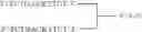 Fig. 78 - Modulation of immunostimulatory properties of oligonucleotide-based compounds by utilizing modified immunostimulatory dinucleotides