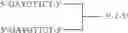 Fig. 79 - Modulation of immunostimulatory properties of oligonucleotide-based compounds by utilizing modified immunostimulatory dinucleotides