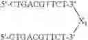 Fig. 83 - Modulation of immunostimulatory properties of oligonucleotide-based compounds by utilizing modified immunostimulatory dinucleotides