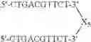 Fig. 87 - Modulation of immunostimulatory properties of oligonucleotide-based compounds by utilizing modified immunostimulatory dinucleotides