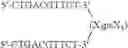 Fig. 89 - Modulation of immunostimulatory properties of oligonucleotide-based compounds by utilizing modified immunostimulatory dinucleotides