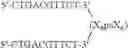 Fig. 91 - Modulation of immunostimulatory properties of oligonucleotide-based compounds by utilizing modified immunostimulatory dinucleotides