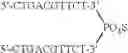 Fig. 93 - Modulation of immunostimulatory properties of oligonucleotide-based compounds by utilizing modified immunostimulatory dinucleotides