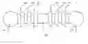 Fig. 01 - Polycationic polyrotaxanes capable of forming complexes with nucleic acids