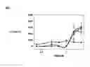 Fig. 08 - Immunostimulatory oligonucleotides