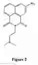 Fig. 03 - Naphthalimide compositions and uses thereof