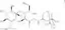 Fig. 09 - Reducing carbohydrate derivatives of adamantane amines, and synthesis and methods of use thereof
