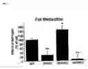 Fig. 07 - Estrogen receptors