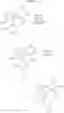 Fig. 28 - Diphenyl substituted cycloalkanes, compositions containing such compounds and methods of use