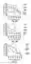 Fig. 04 - Erastin and erastin binding proteins, and uses thereof
