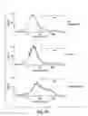 Fig. 12 - Erastin and erastin binding proteins, and uses thereof