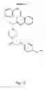 Fig. 17 - Erastin and erastin binding proteins, and uses thereof
