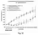 Fig. 27 - Erastin and erastin binding proteins, and uses thereof