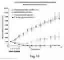 Fig. 28 - Erastin and erastin binding proteins, and uses thereof