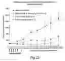 Fig. 31 - Erastin and erastin binding proteins, and uses thereof