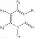 Fig. 210 - Diaryl substituted pyridinones