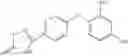 Fig. 83 - 2-(2 Or 4-substituted aryloxy)-phenol derivatives as antibacterial agents