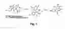 Fig. 02 - Small molecule inhibitors of MDM2 and the uses thereof
