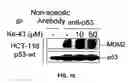 Fig. 11 - Small molecule inhibitors of MDM2 and the uses thereof