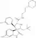 Fig. 113 - Small molecule inhibitors of MDM2 and the uses thereof