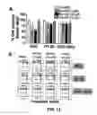 Fig. 14 - Small molecule inhibitors of MDM2 and the uses thereof