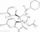 Fig. 172 - Small molecule inhibitors of MDM2 and the uses thereof