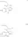 Fig. 216 - Small molecule inhibitors of MDM2 and the uses thereof