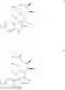 Fig. 44 - Small molecule inhibitors of MDM2 and the uses thereof