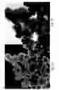 Fig. 02 - Aluminum phosphate, polyphosphate and metaphosphate particles and their use as pigments in paints and method of making same