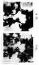 Fig. 04 - Aluminum phosphate, polyphosphate and metaphosphate particles and their use as pigments in paints and method of making same