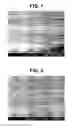 Fig. 02 - Gas-barrier nanocomposite composition and article using the same