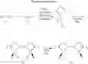 Fig. 09 - Process for producing optically active phosphorus heterocyclic dimer
