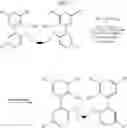 Fig. 85 - Bridged bi-aromatic ligands, catalysts, processes for polymerizing and polymers therefrom
