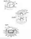 Fig. 03 - Device for washing and creating massaging vibrations within a bar of soap