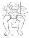 Fig. 02 - Diaper with umbilical feature