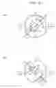 Fig. 11 - Method of decellularizing tissues